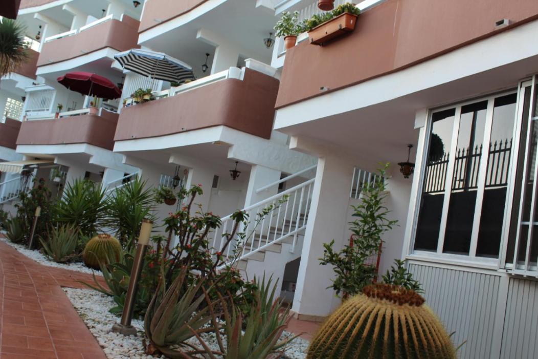 Bonito Apartamento 109 Πλάγια ντελ Ινγκλές Εξωτερικό φωτογραφία